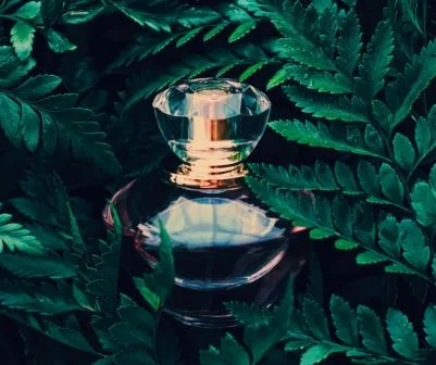 Elixir